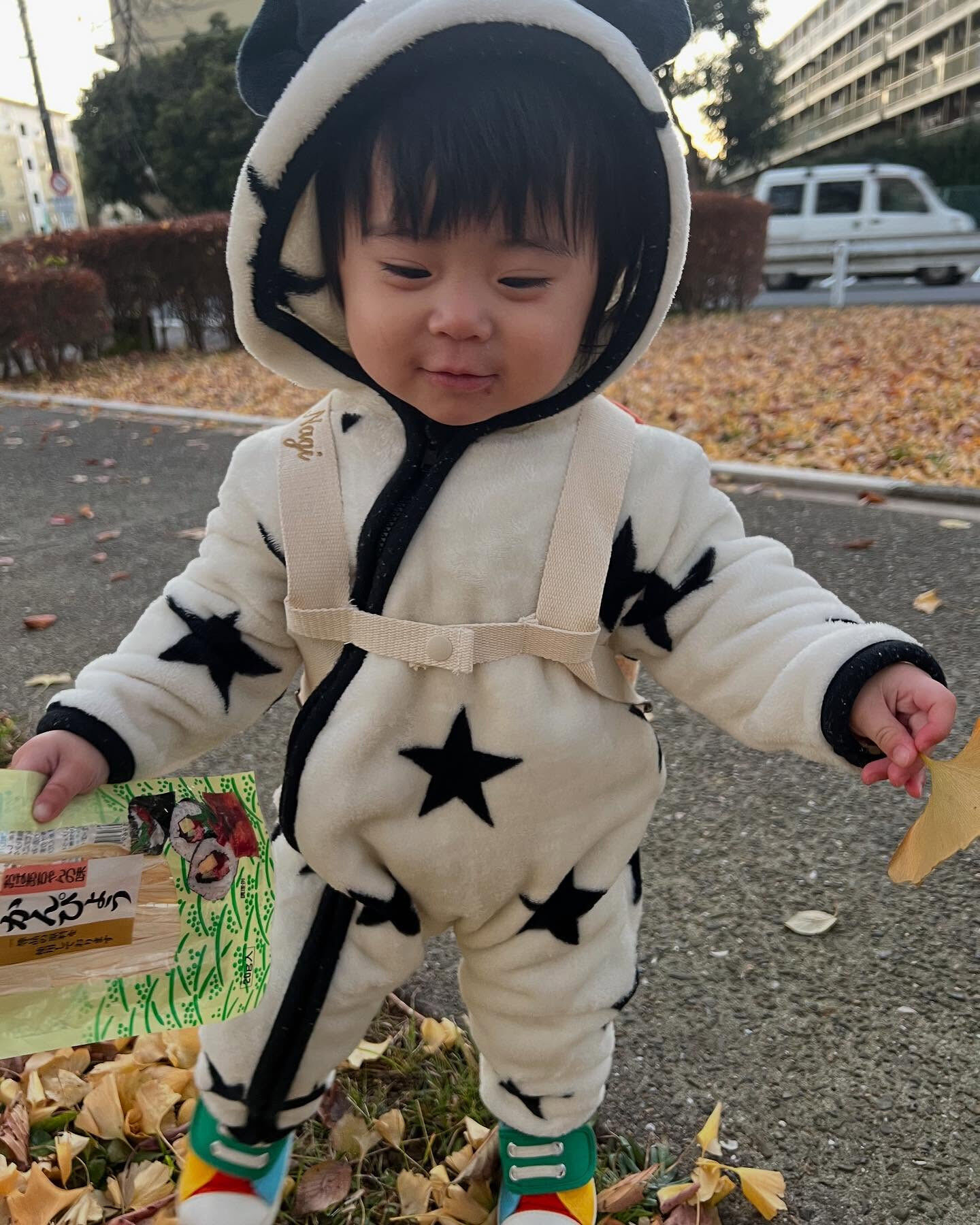 かんぴょう持って散歩
