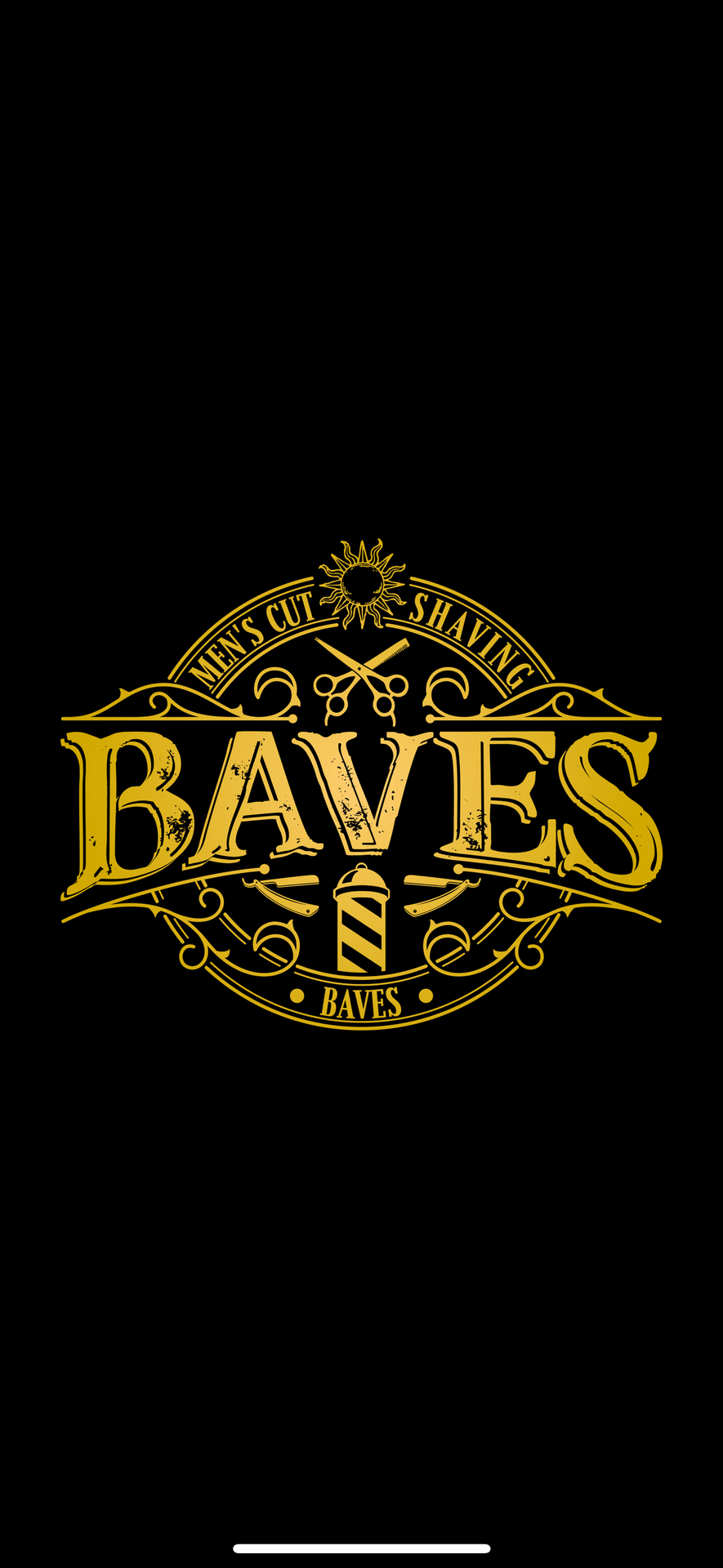 チームBAVESです
