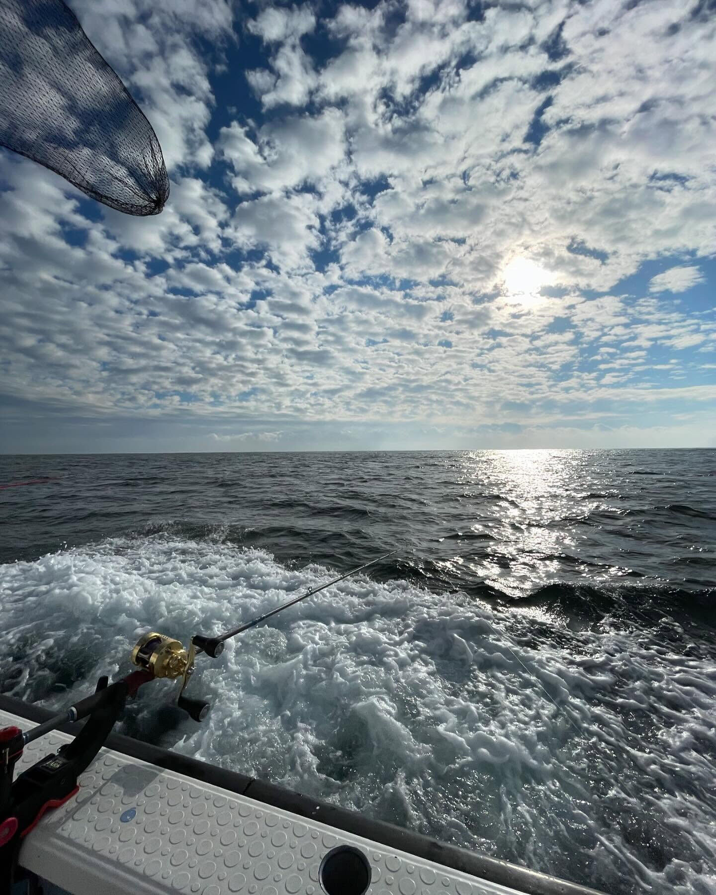 🎣 今年初の船釣りで、ヒラメをゲットしました！🛥️✨ 天気は