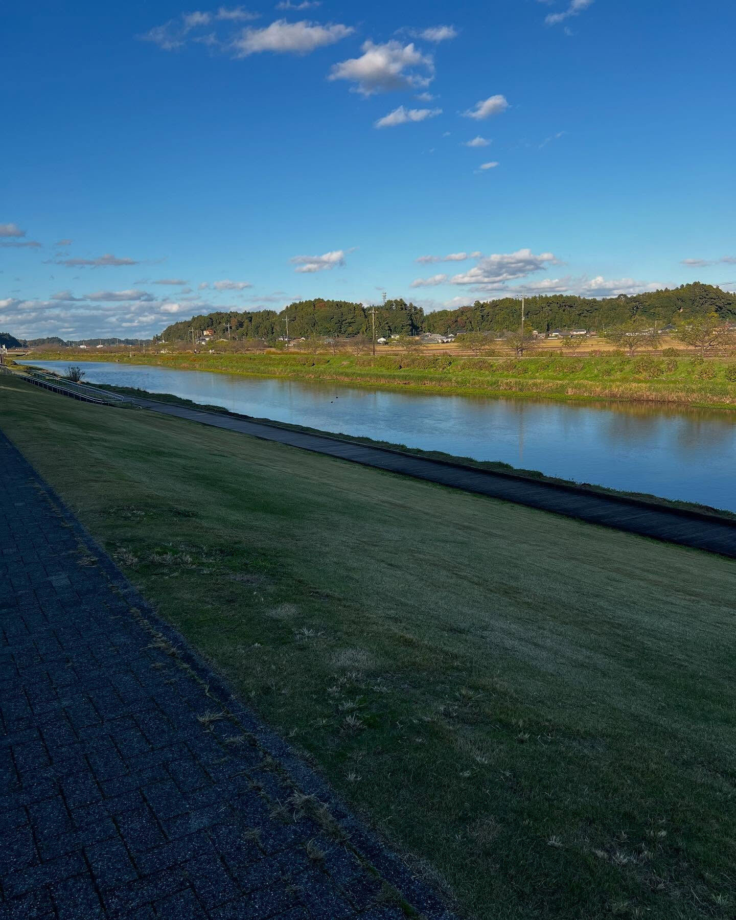 いい川見つけました