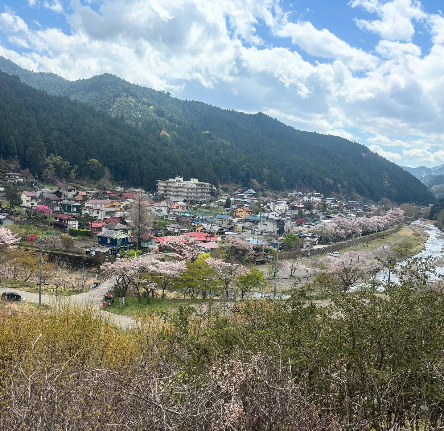 埼玉の飯能市キャンプ川綺麗で最高でした🌸