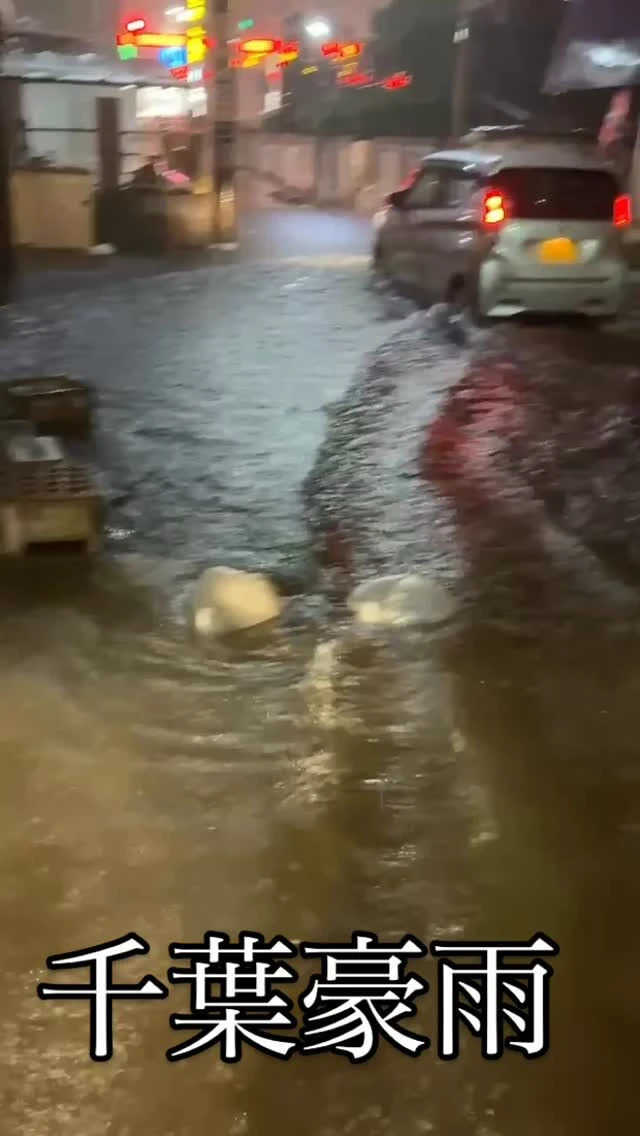 千葉豪雨では